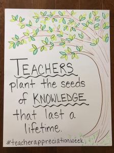 19401660_10155128226975546_1823783973_o